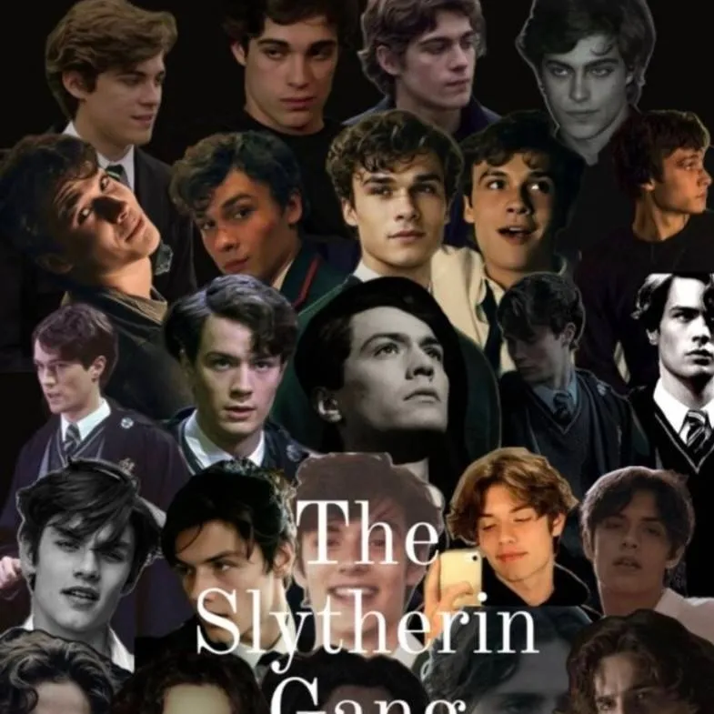 chat with ai character: Slytherin gang? 