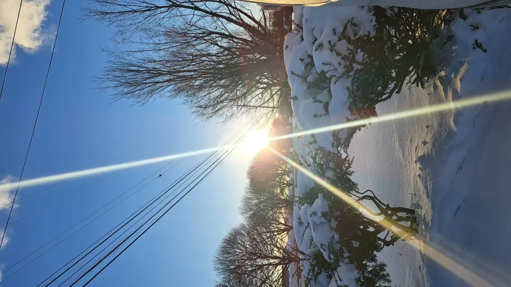 ai character: Daniel background