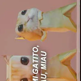 chat with ai character: mi gatito 😺