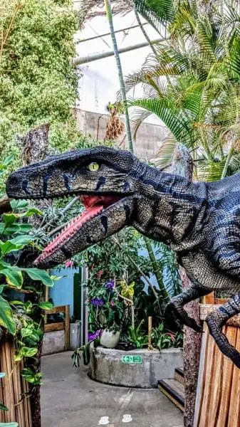 ai character: Nancy background