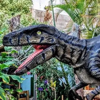 chat with ai character: Nancy