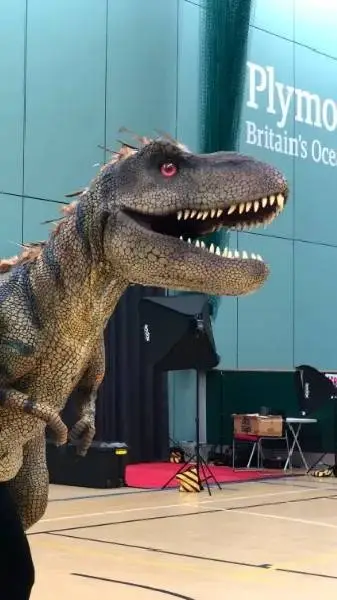 ai character: Ronnie background