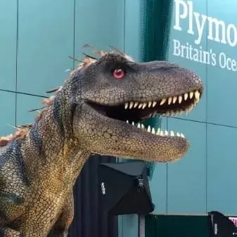 chat with ai character: Ronnie