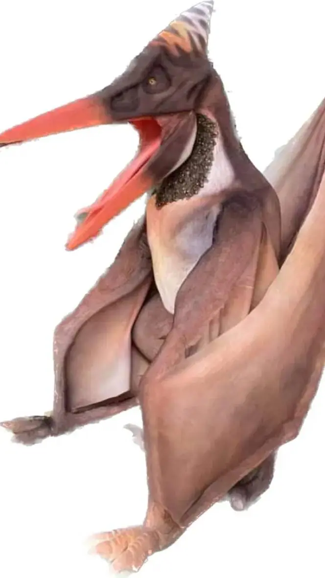 ai character: Pteranodon background