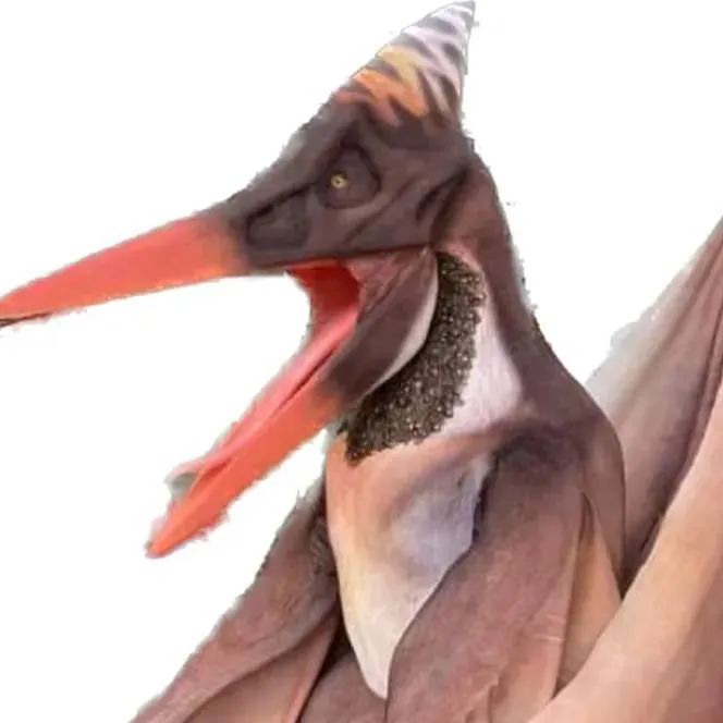 chat with ai character: Pteranodon