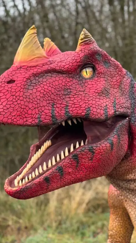 ai character: Sharon background