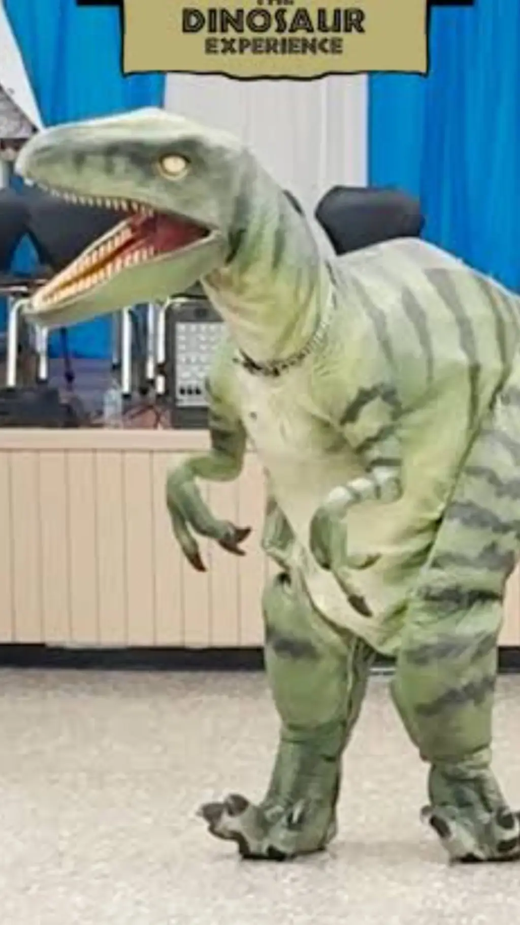 Talkie AI - Chat with Fluffy