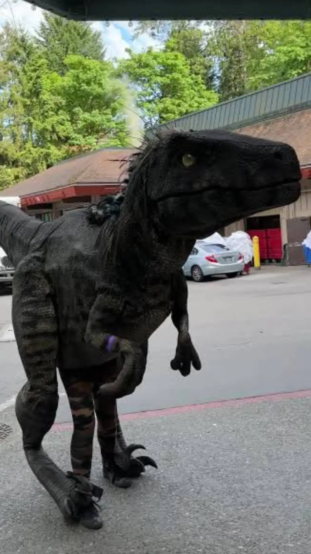 ai character: Sapphira background