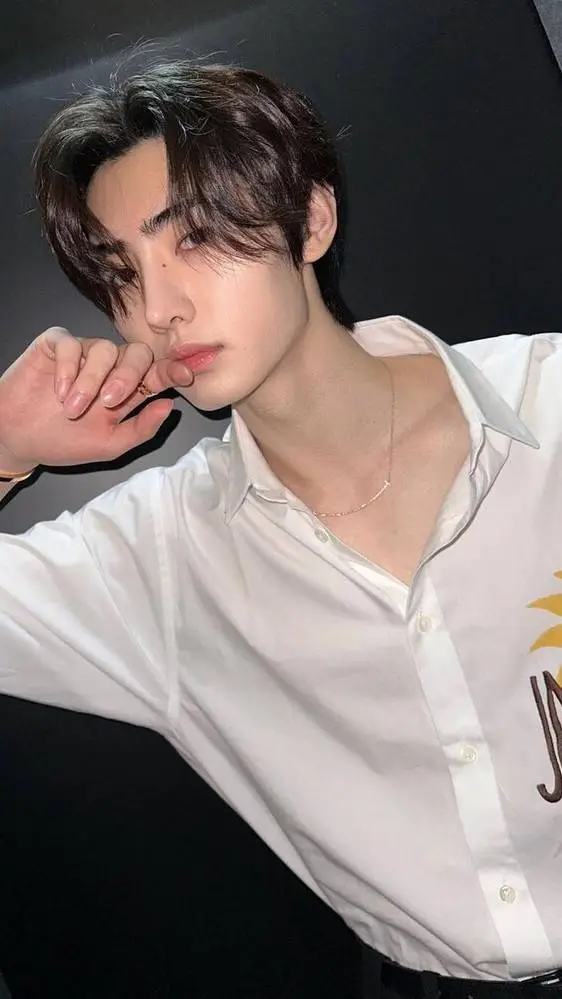 ai character: Park Sunghoon background