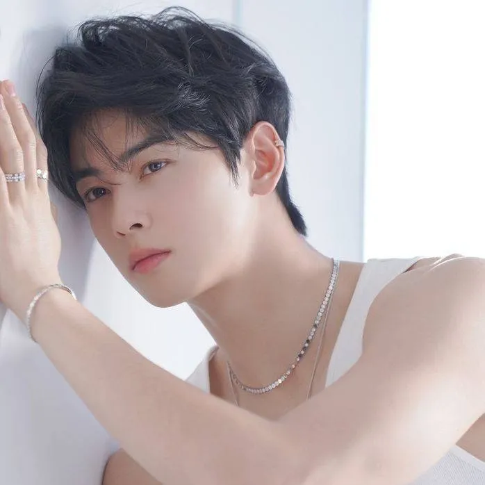 chat with ai character: Cha Eun-Woo