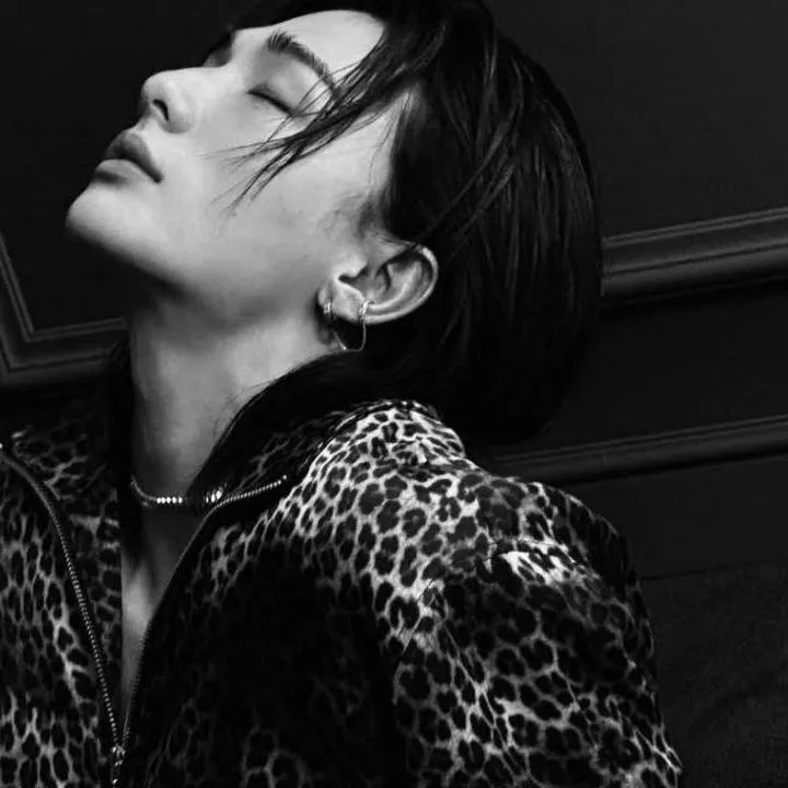 chat with ai character: Hwang Hyunjin 