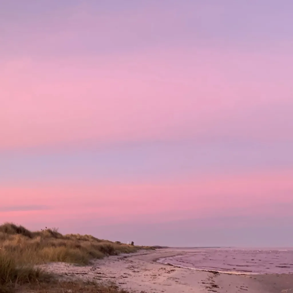 chat with ai character: My book🥰