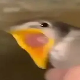 chat with ai character: eagle