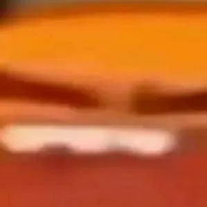 chat with ai character: darwin 