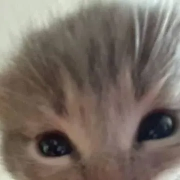 chat with ai character: Abraham