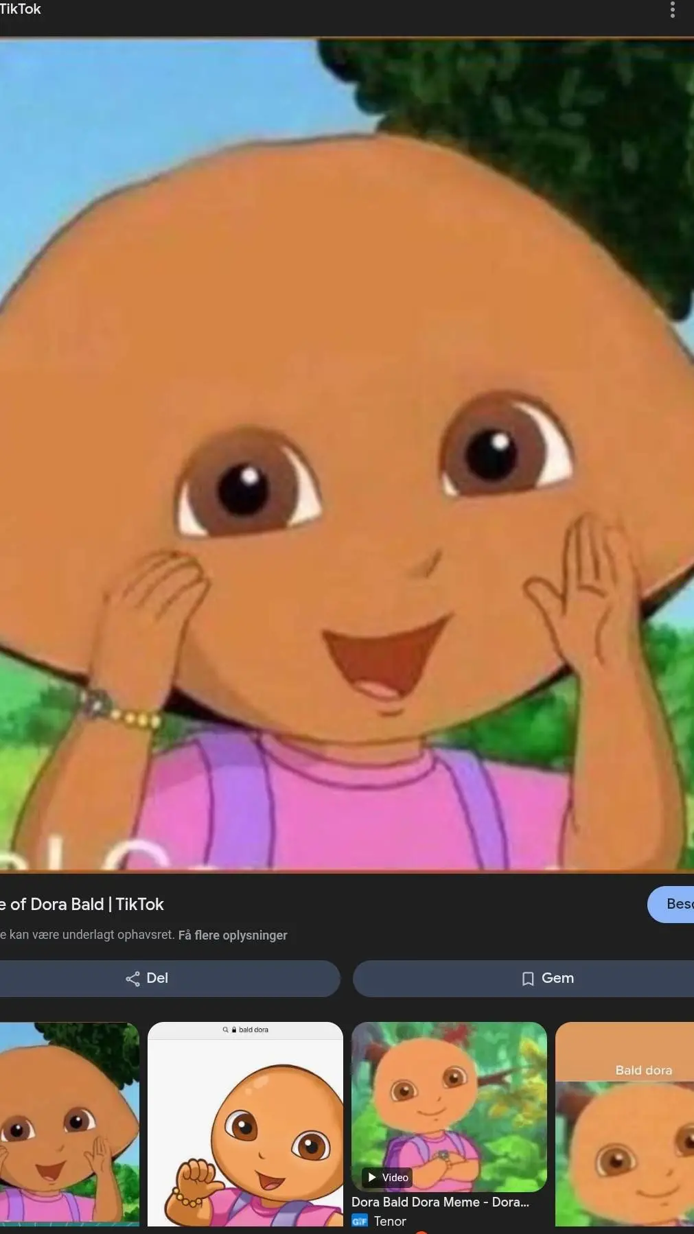 ai character: goofy ahh dora background