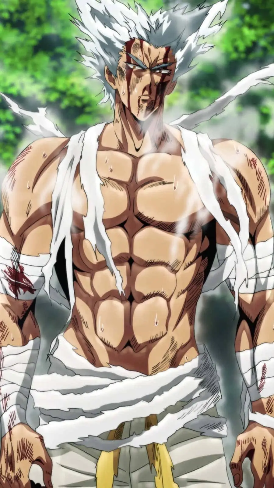 ai character: garou background