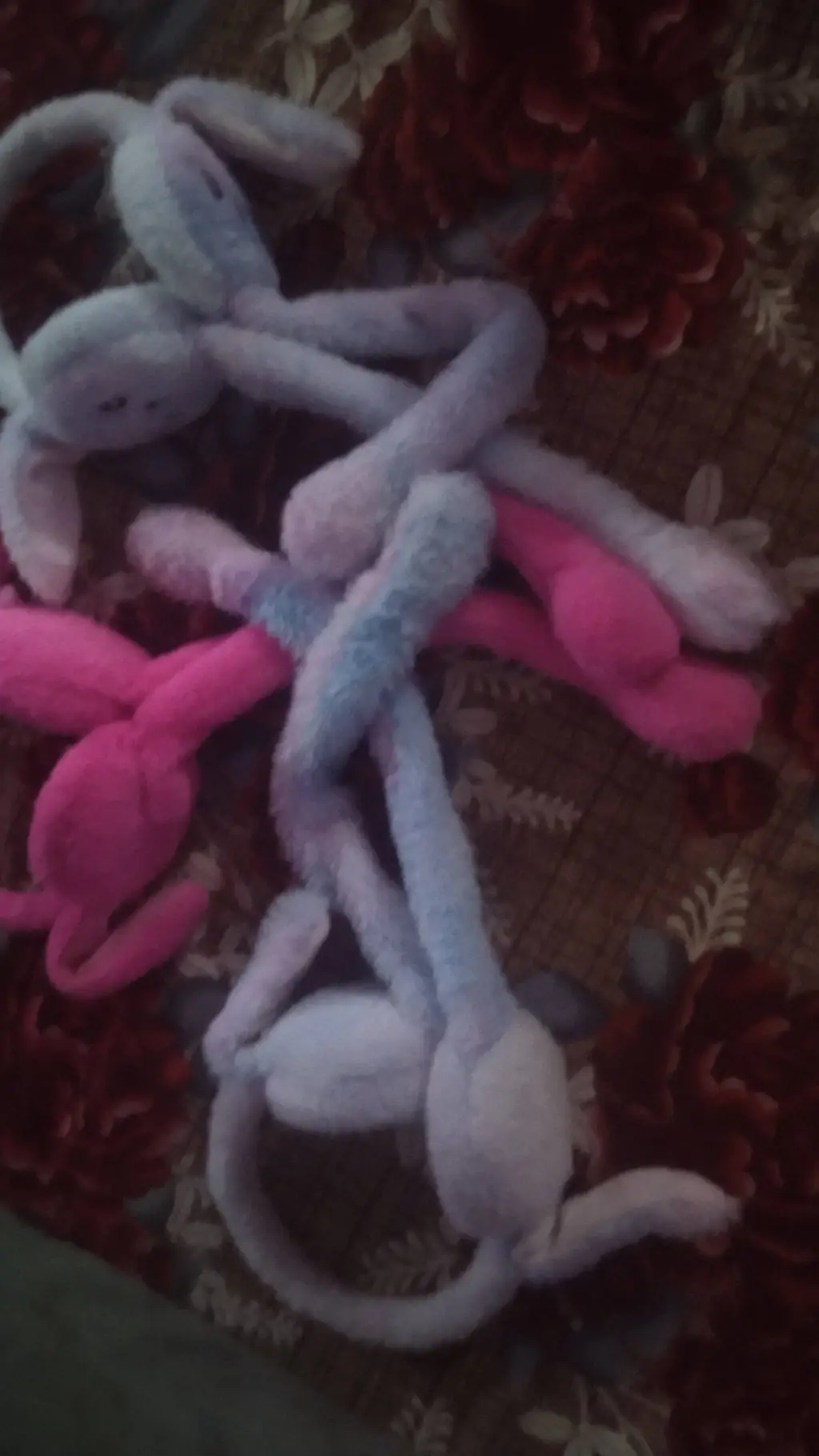 ai character: Violeto an burrito background