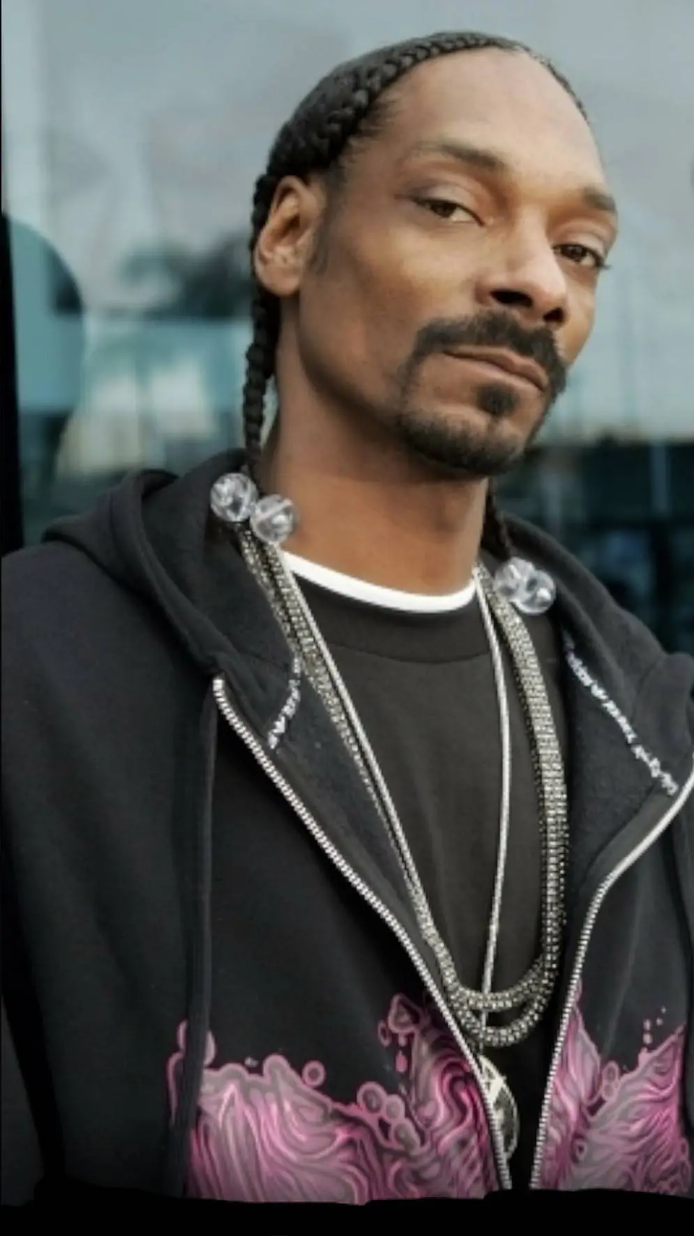 ai character: Snoop background