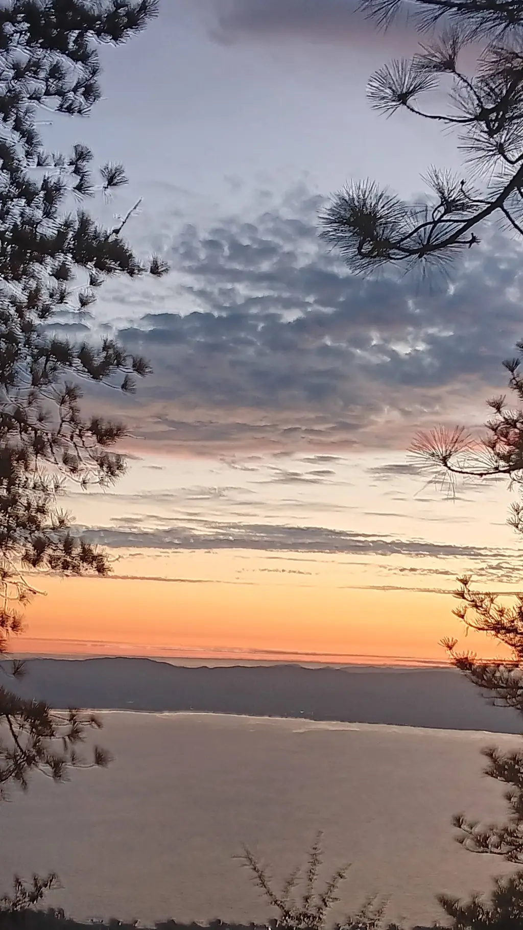 ai character: 007n7XNoliXElliot~ background