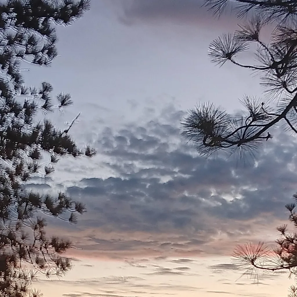 chat with ai character: 007n7XNoliXElliot~