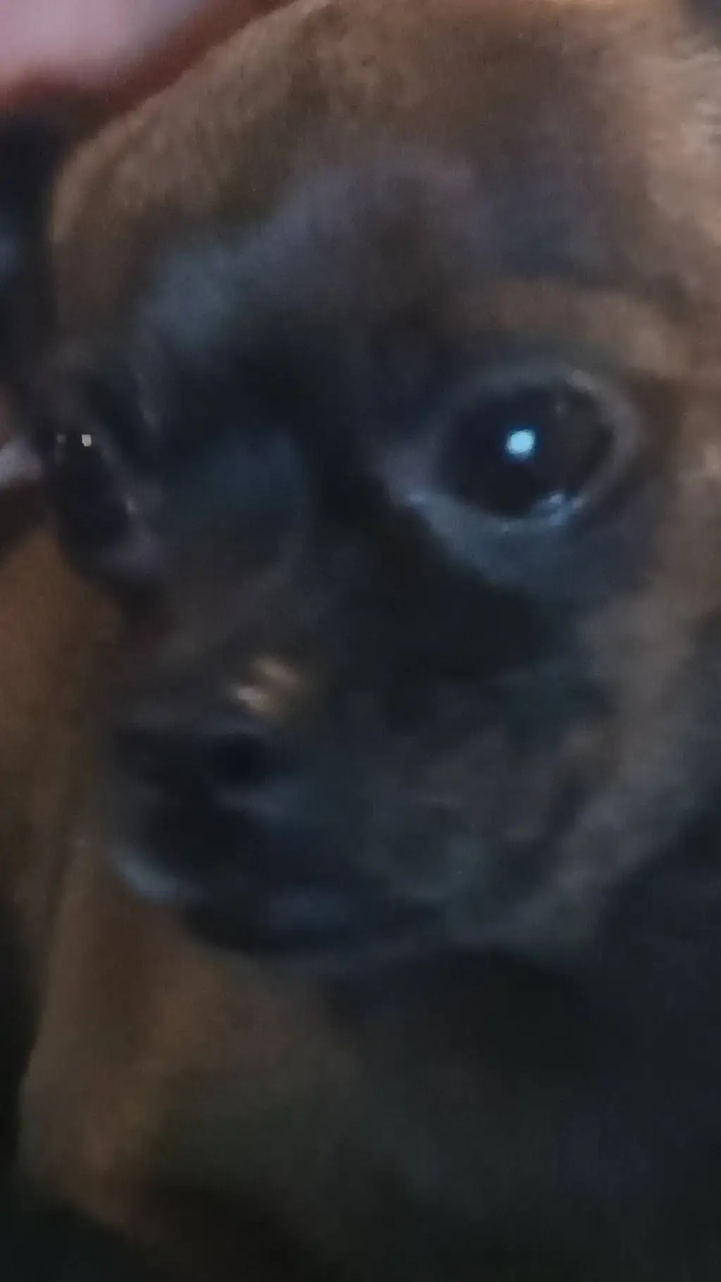 ai character: make your own :3 background