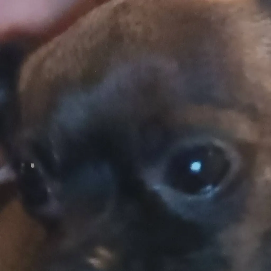 chat with ai character: make your own :3