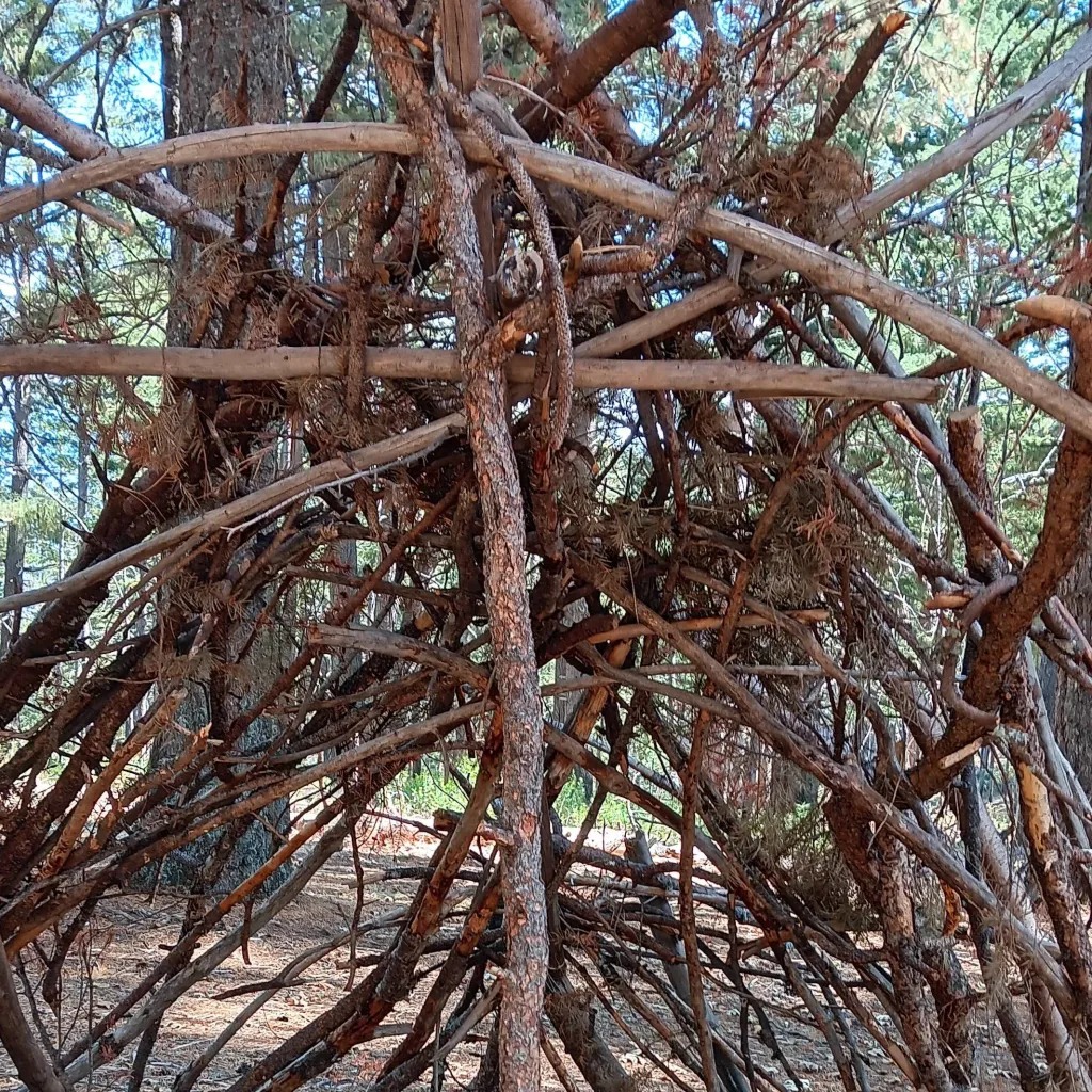 chat with ai character: doublefedora