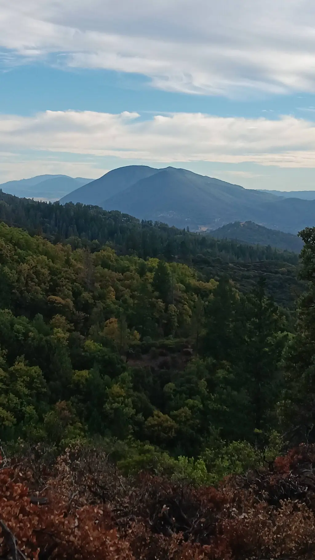 ai character: noob666 :3 background