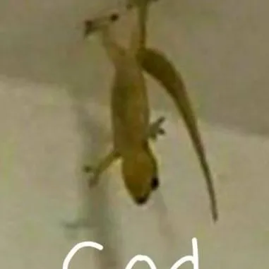 chat with ai character: LIZARD GOD!