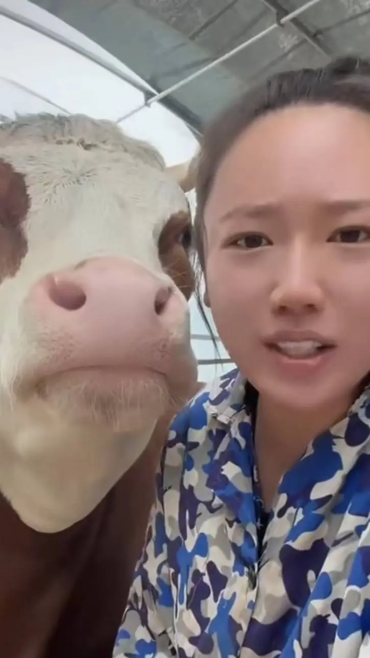 ai character: girl and cow background