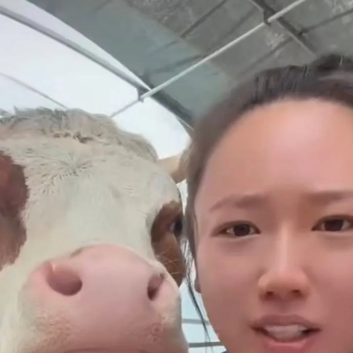 chat with ai character: girl and cow