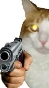 ai character: cat gang background