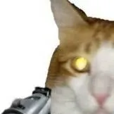 chat with ai character: cat gang