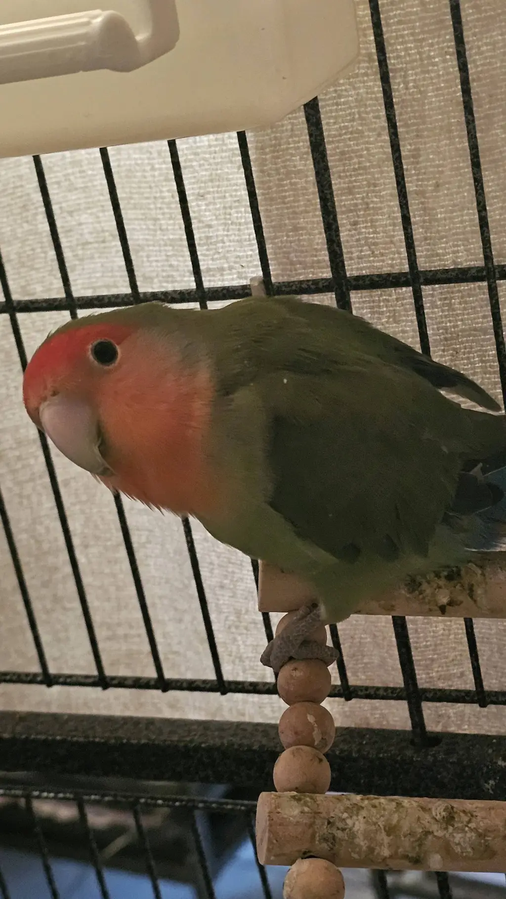 ai character: SIGMA  background