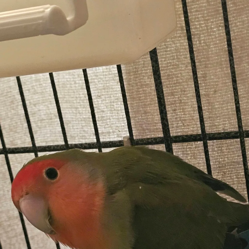 chat with ai character: SIGMA 