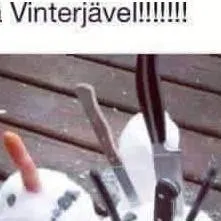 chat with ai character: we vs vinterjäve 