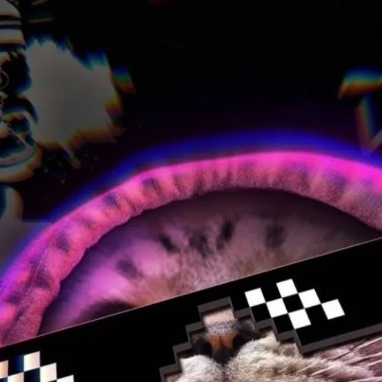 chat with ai character: gato pro🥵🥵