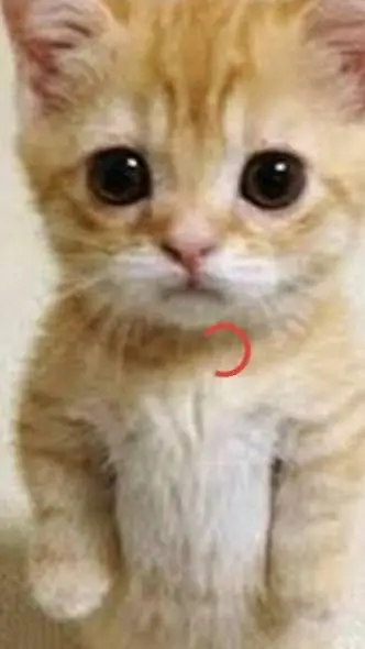 ai character: larry capija background