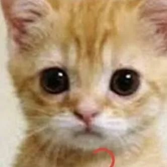 chat with ai character: larry capija