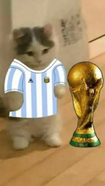 ai character: gato argentino background