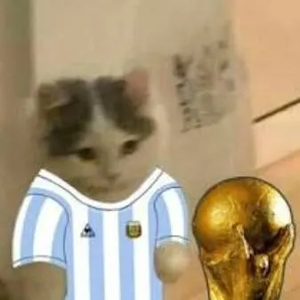 chat with ai character: gato argentino