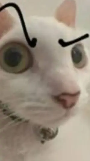 ai character: jorgito background