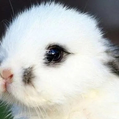 chat with ai character: mc son the 3rd 