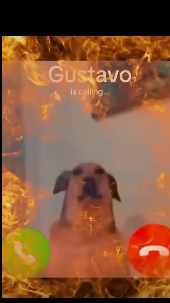 ai character: gustavo background