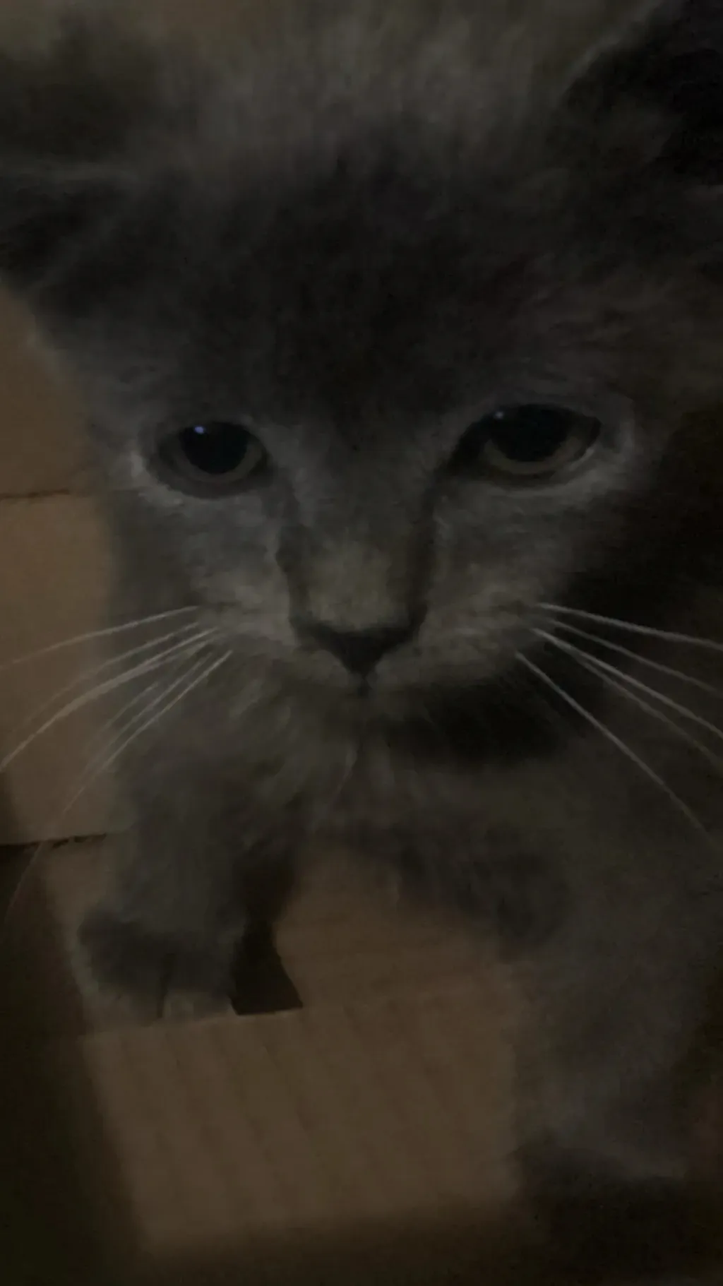 ai character: Smokey (died) background