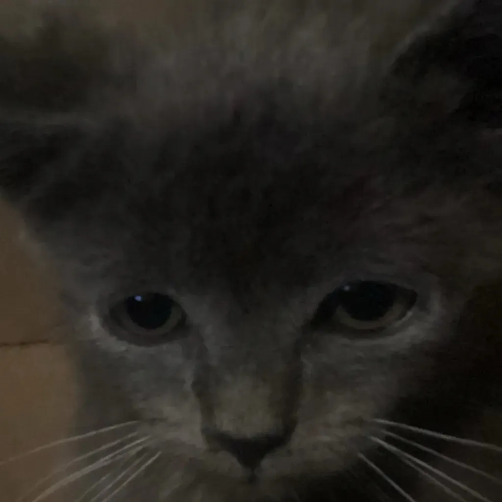 chat with ai character: Smokey (died)