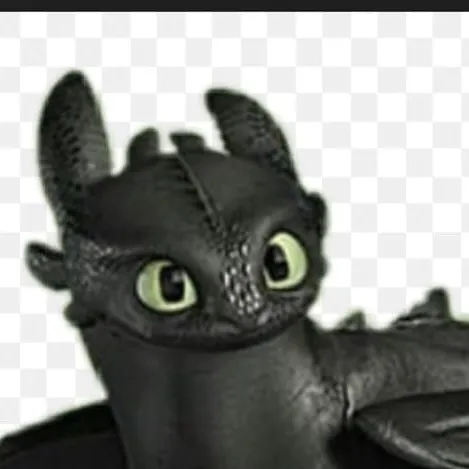 chat with ai character: Toothless