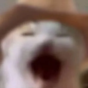 chat with ai character: yo 