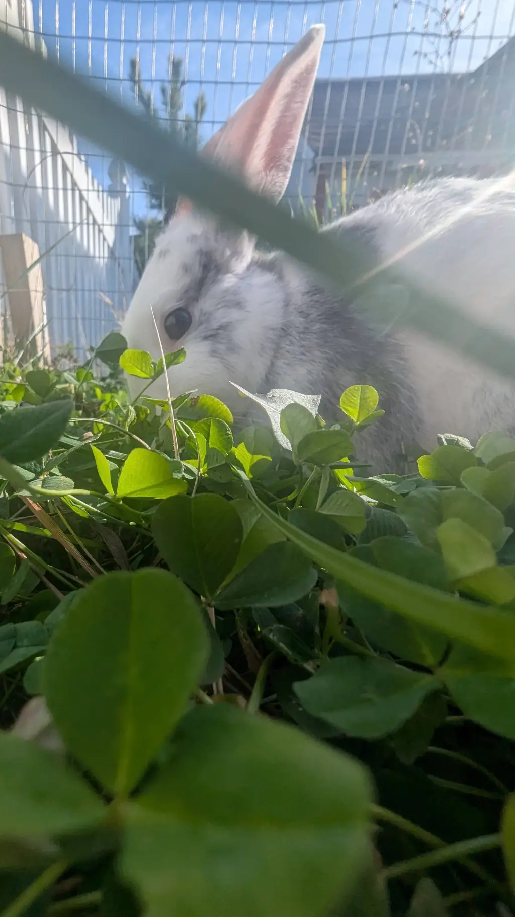 ai character: ~elliot~ background